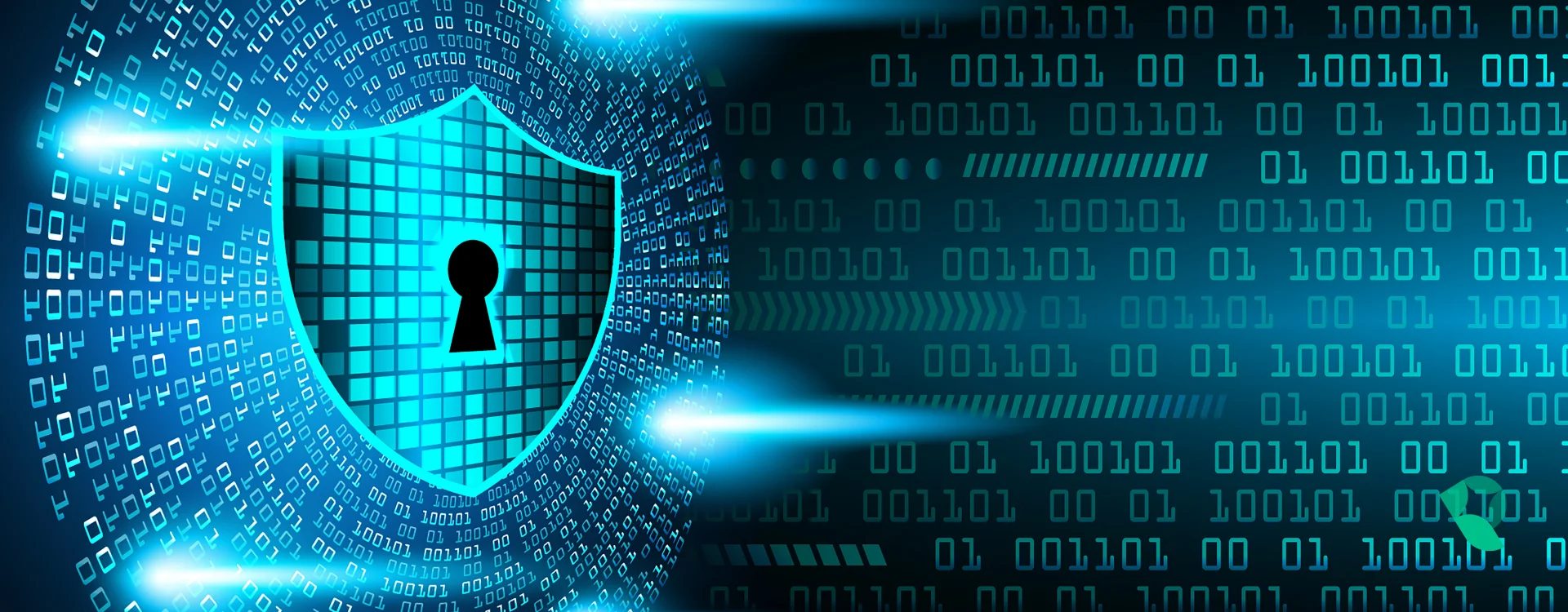 Da conformidade NIS2 em Portugal à transferência de risco, o papel do seguro cyber