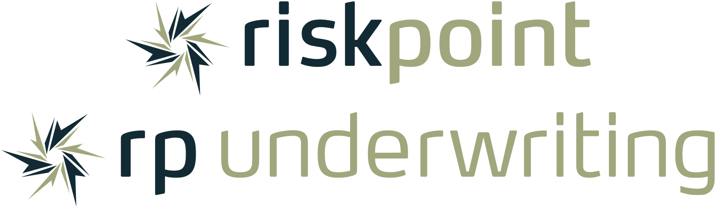 Seguradora Risk Point Seguros  Parceiro Protev Seguros