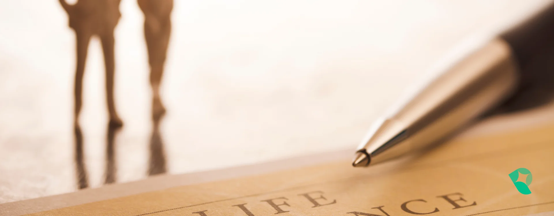 Seguro de vida: como proteger a sua vida e garantir estabilidade financeira em caso de invalidez